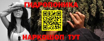 гашишное масло Кингисепп