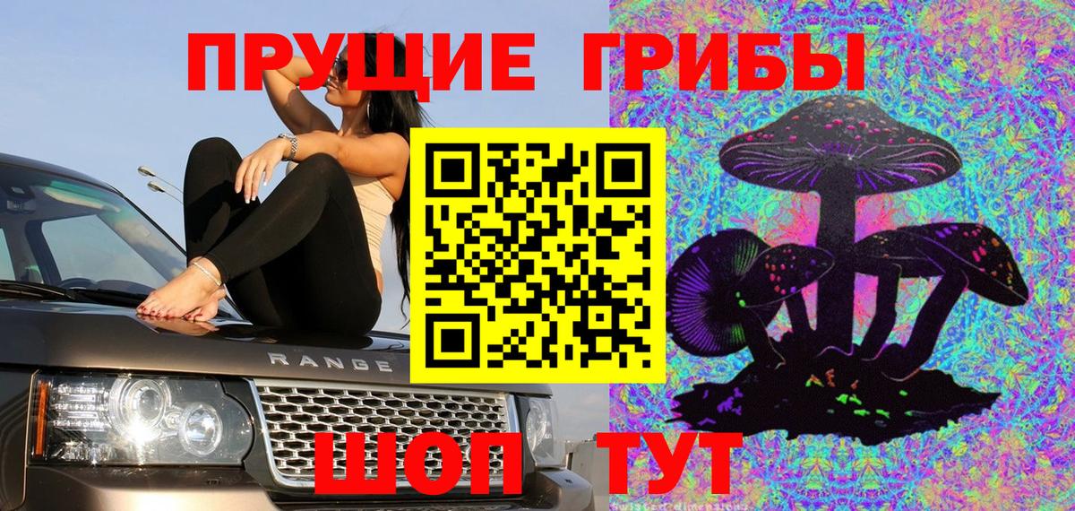 Псилоцибиновые грибы GOLDEN TEACHER Махачкала
